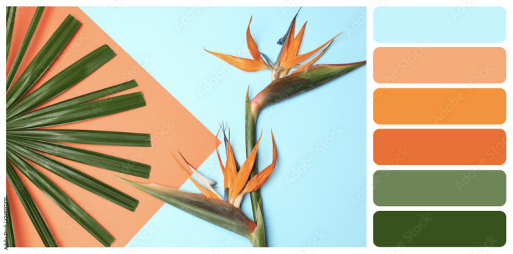 Bright color palettes example