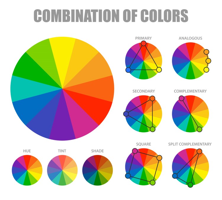 split complementary colors in nature