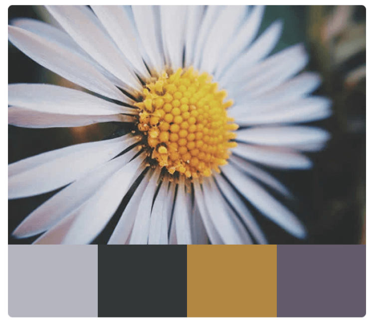Natural color palettes example
