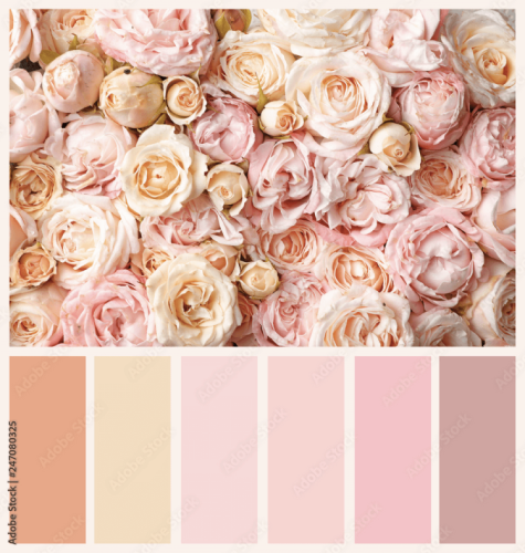 Pastel color palettes example