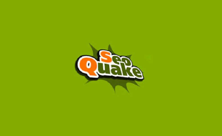 Detailed SEOquake Guide 2023  Learn Digital Marketing  - 11