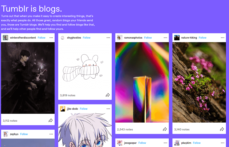 The Tumblr platform is very easy to use and is very popular with younger content creators.