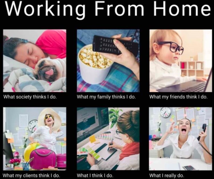 37 Funniest Work from Home Memes That are So True in 2024