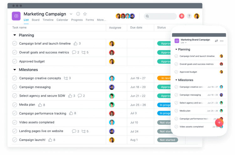 Asana tool for nonprofit