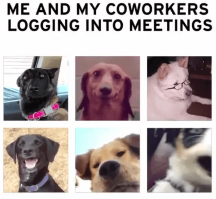 37 Funniest Work from Home Memes  That are So True  in 2023 - 71