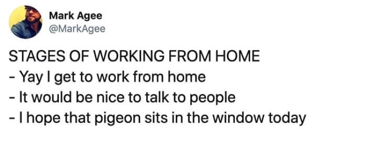 Working from home stages meme