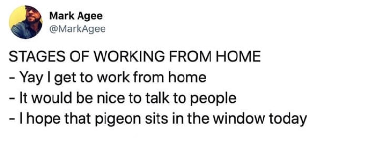 37 Funniest Work from Home Memes  That are So True  in 2023 - 64