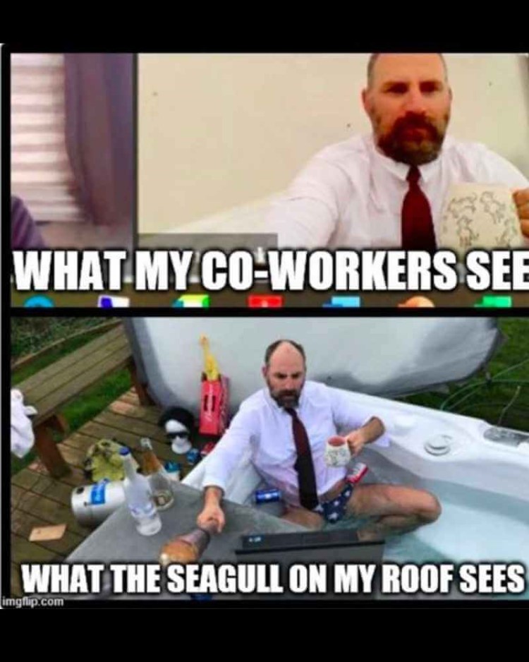 30+ Work From Home Memes: Funny Work Memes to Make You Laugh