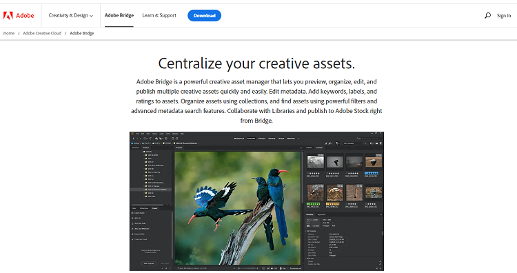 16 Best Photo Management Software Programs  in 2023  - 79