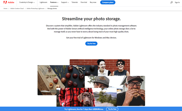 16 Best Photo Management Software Programs  in 2023  - 79