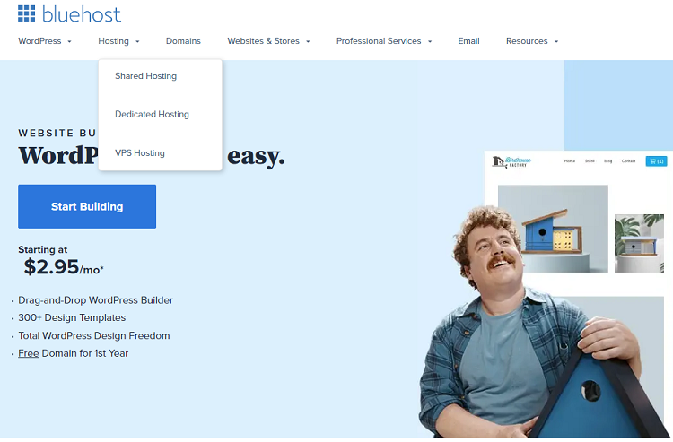 This is a screenshot of the homepage of Blue Host hosting provider in New Zealand