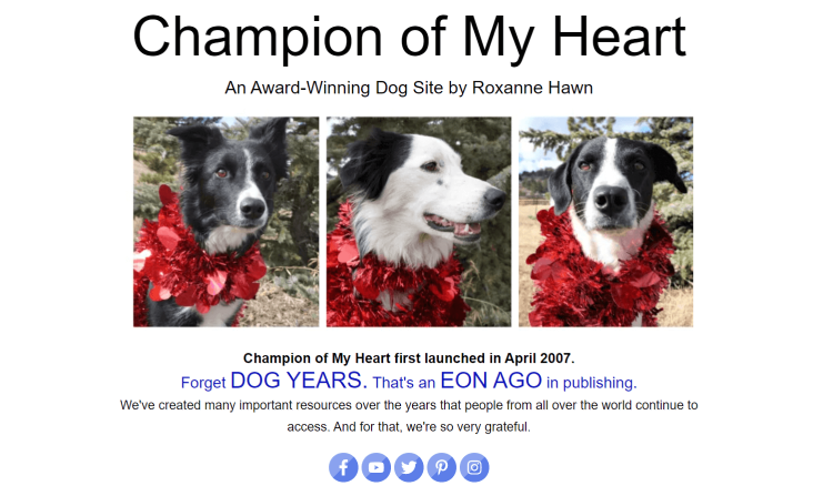 Dog’s Blog, Champion of My Heart home page with a dog and introducing an award they have.