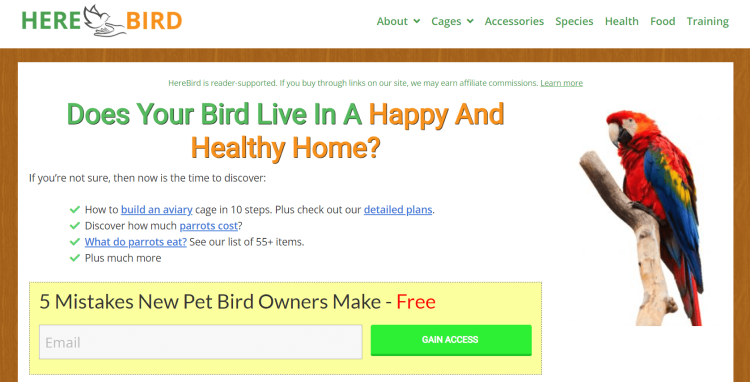 Pet Bird Blog Here Bird page offering to learn about 5 mistakes new pet bird owners make.