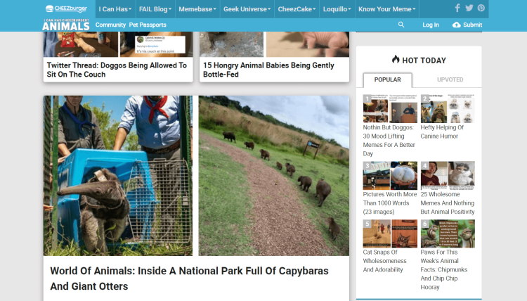Funny Pet Blog I Can Has Cheezburger page with article about capybaras and giant otters in a national park.