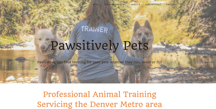 Pet Owners Blog Pawsitively Pets page with author offering proffessional animal training.