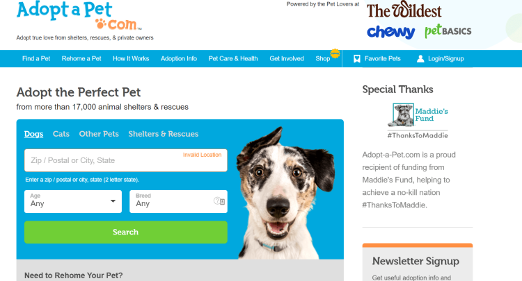 Top store pet websites