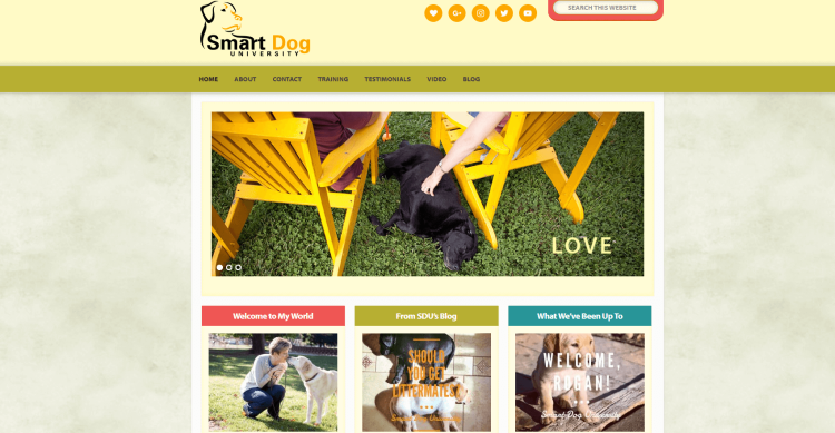 Dog Training Advice Blog Smart Dog University home page showcasing articles with author and her pet.