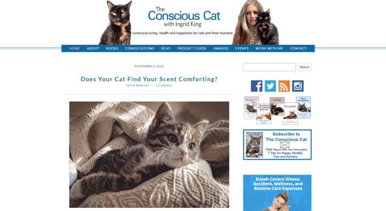 Cat Wellness Blog The Conscious Cat pag with cat and article on whether cats find your scents comforting.