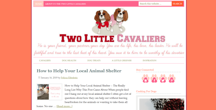 Senior Dog Blog Two Little Cavaliers page featuring article on how to help your local animal shelter.