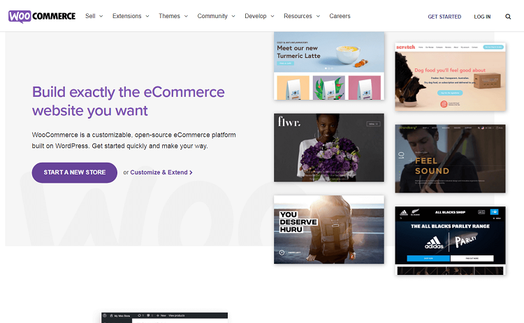 This is a screenshot of the homepage of WooCommerce platform.