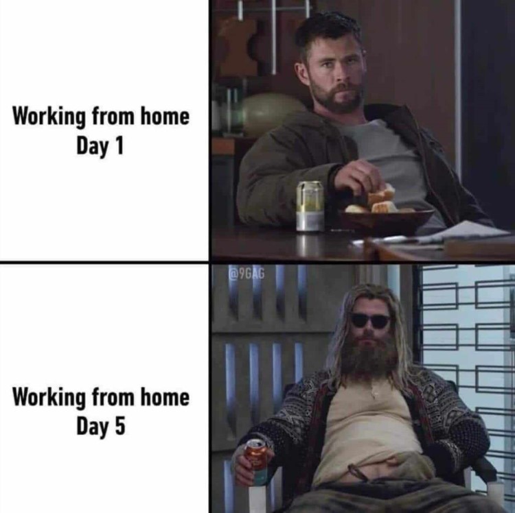 37 Funniest Work From Home Memes That Are So True