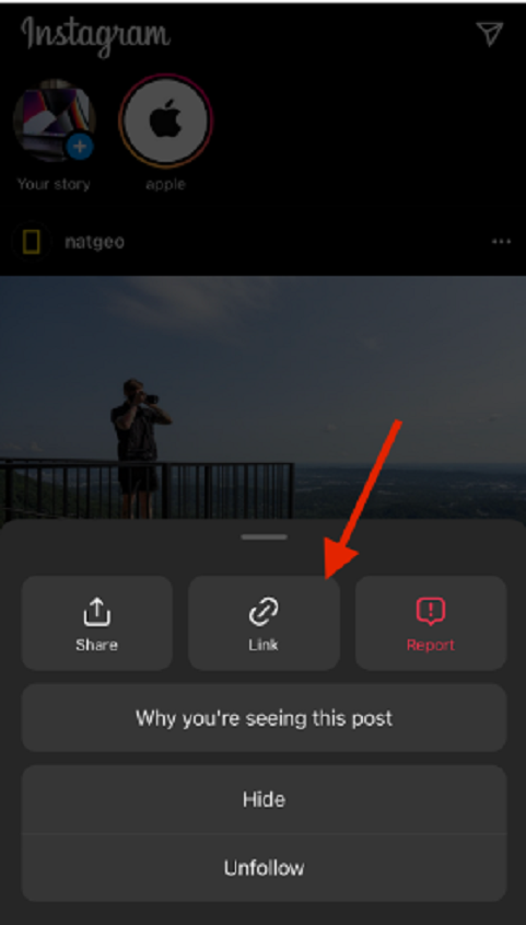 Then, you need to copy a link to the selected Instagram photo by tapping the Link button.