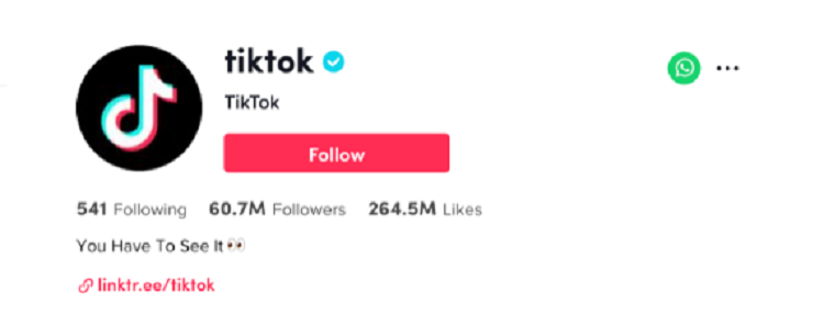 Getting in touch with TikTok’s support team can also be done through different <a href=