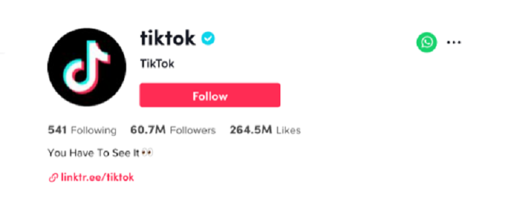 Contact TikTok 2023  Getting in Touch with Popular SM App  - 31