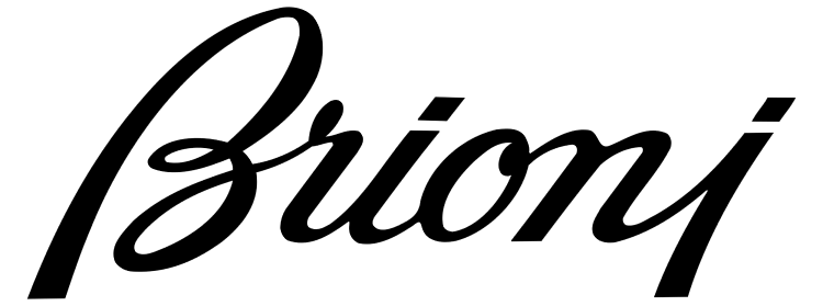 Brioni Logo Shoe Brands
