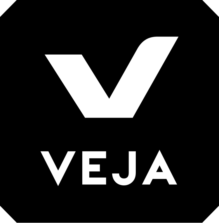 Veja Logo Shoe Brands