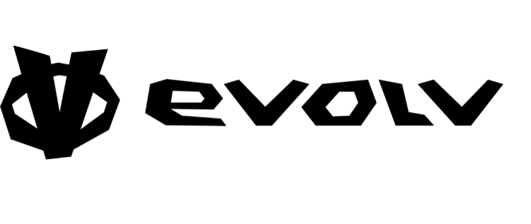 evolv Logo Shoe Brands