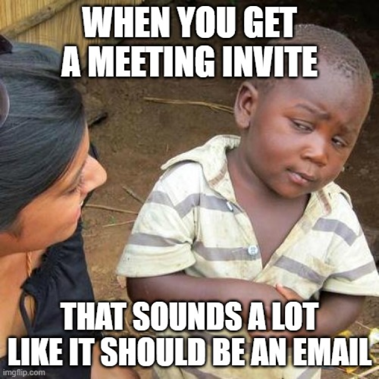 this meeting could have been an email memes 14