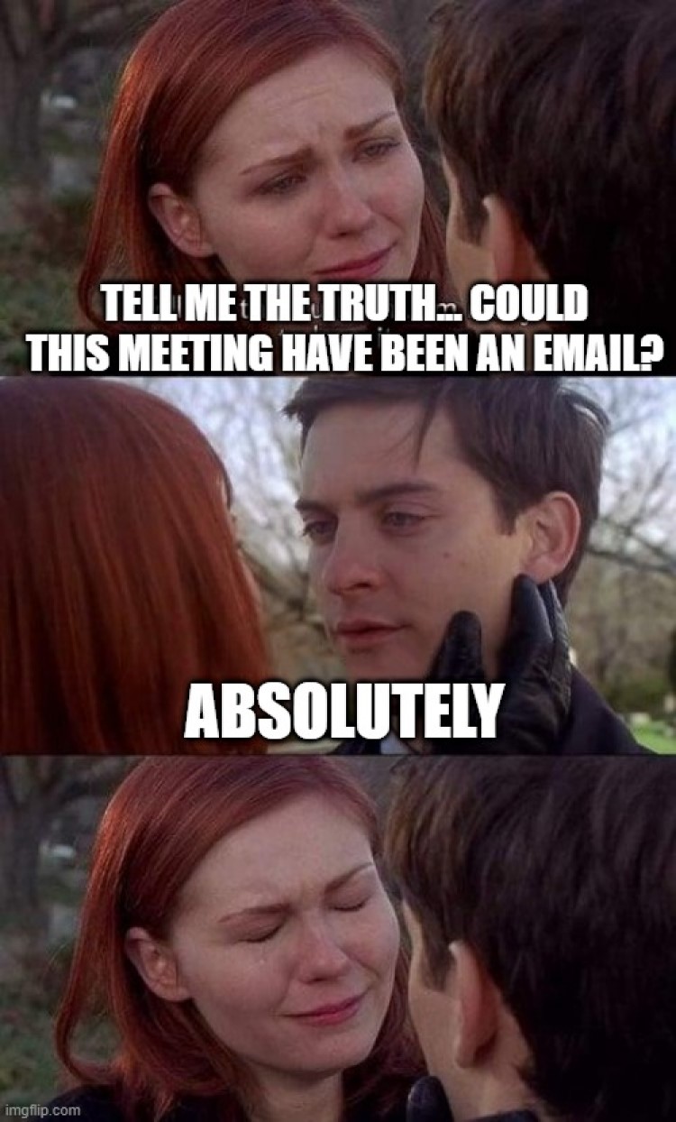 this meeting could have been an email memes 23