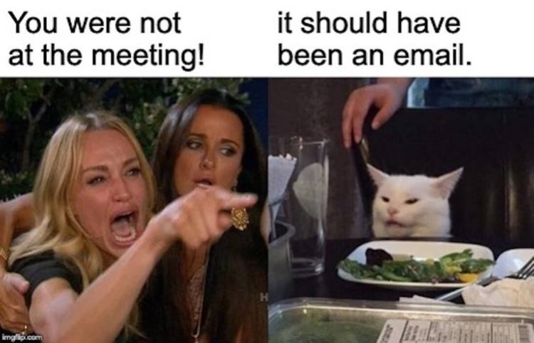 this meeting could have been an email memes 40