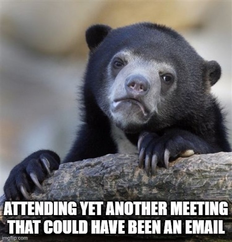 Picture of a black bear looking forlornly at the camera. Image text below reads: "Attending yet another meeting that could have been an email."