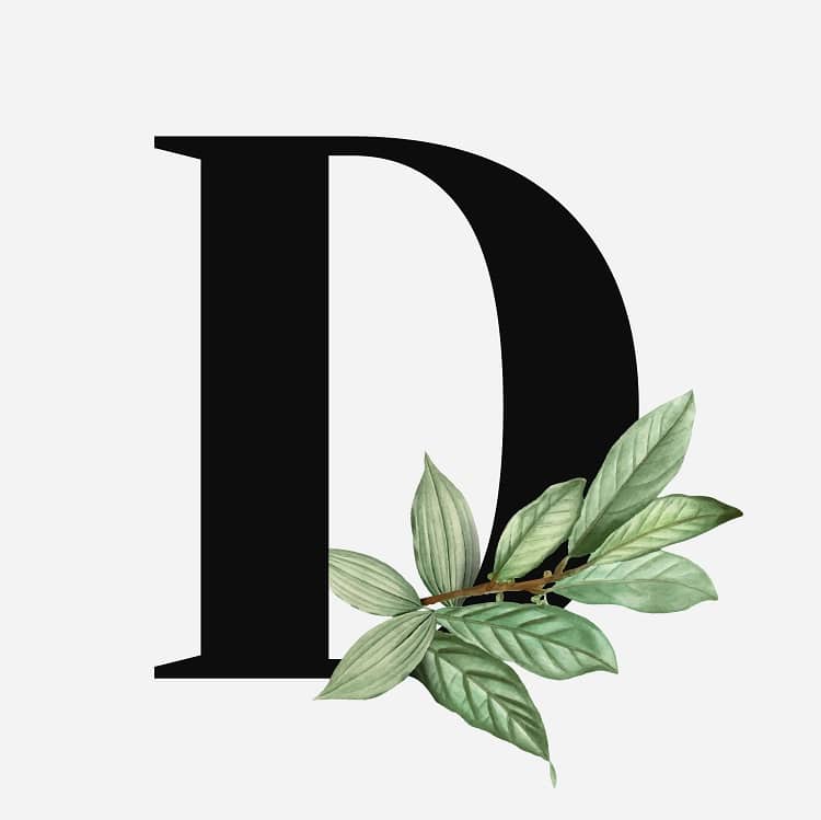 Letter D