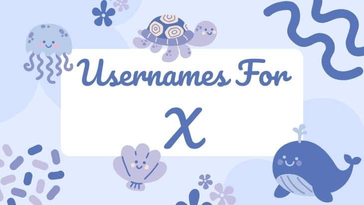 Usernames For Twitter X