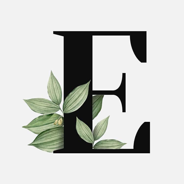 Letter E