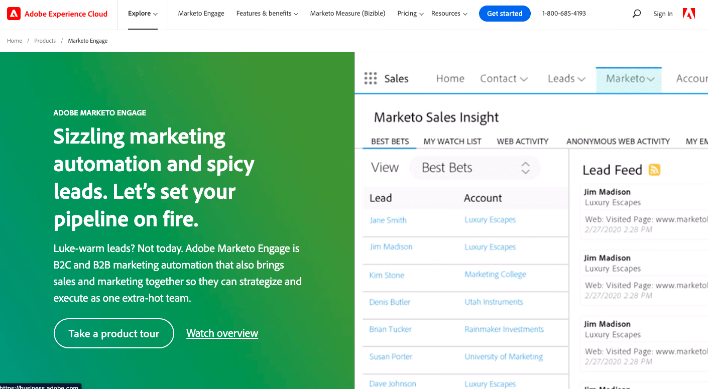 Adobe Marketo Engage Marketing Account Intelligence Software
