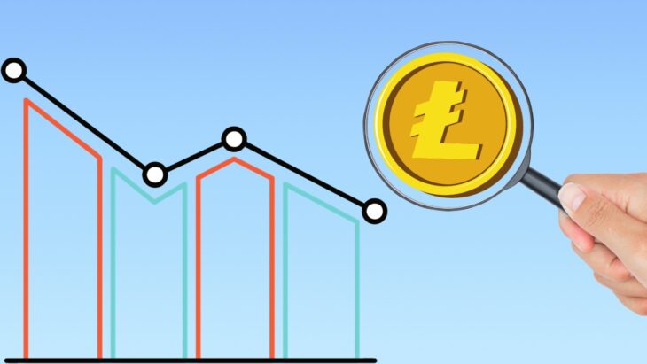 Detailed Analysis of Litecoin Transaction