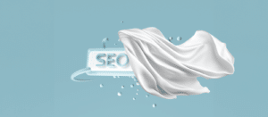 SEO being cloaked by a cloth to hide it from Google Searches