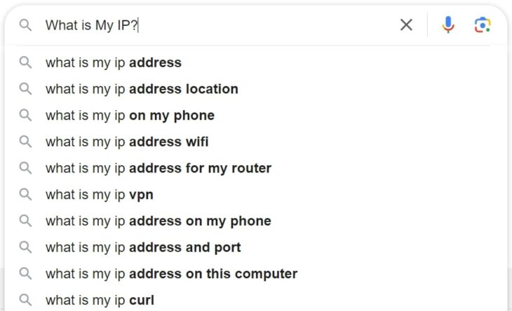 Question on Google - What is my IP