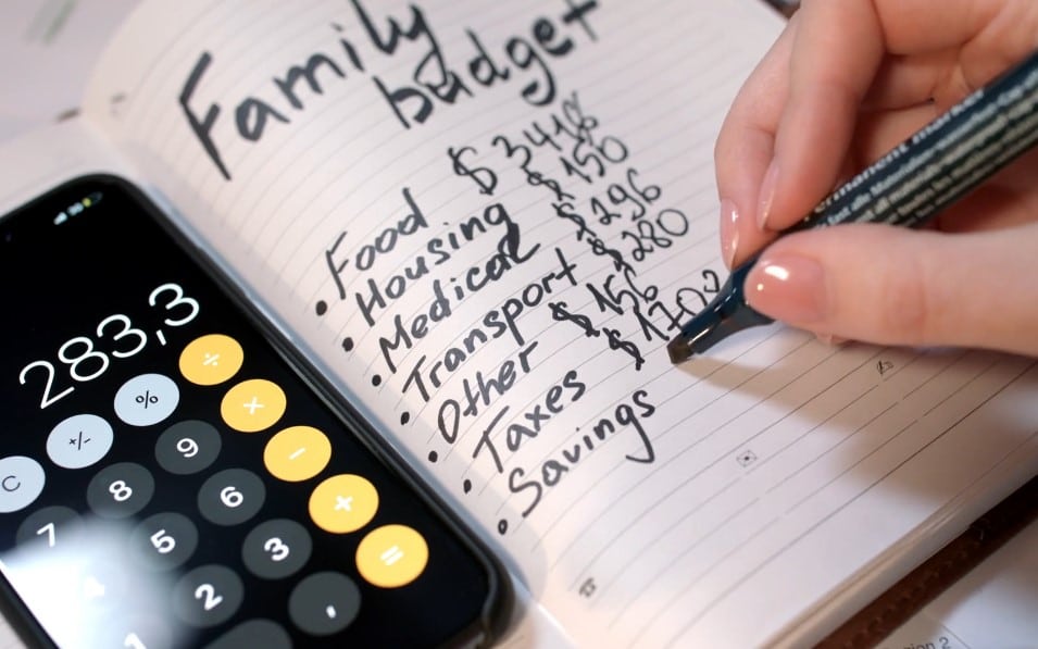 A person meticulously tracks family expenses