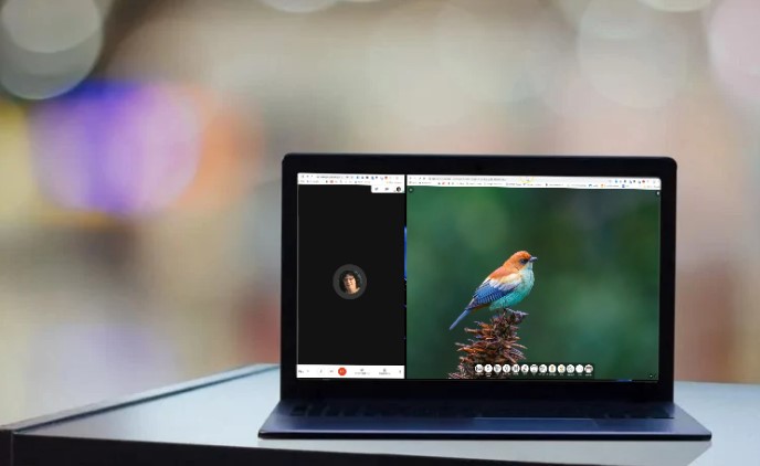 Dualless chrome extension splits screen in half