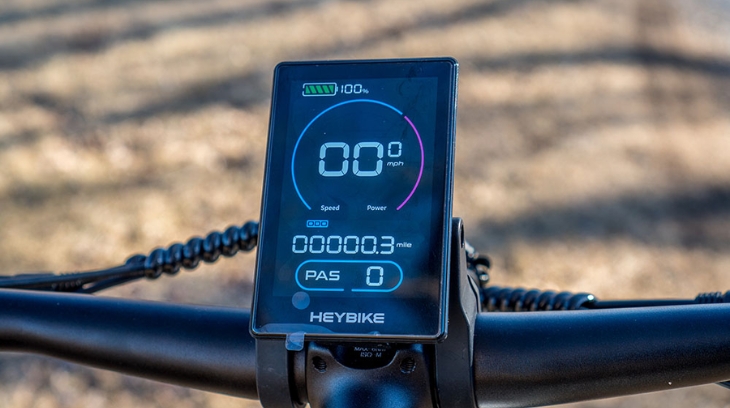 Close-up of an electric bike display showing full battery and ride data