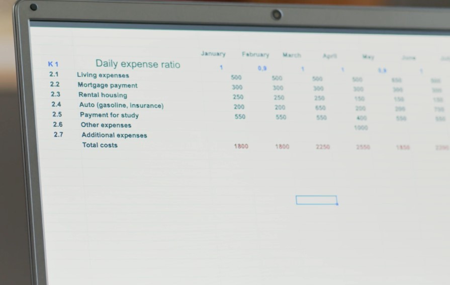 A detailed breakdown of daily expenses, categorized for easy tracking