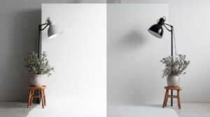Photography setup with two different backdrops: white on the left and gray on the right, each with a potted plant and studio lamp