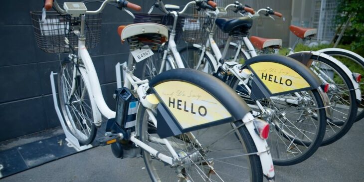 Dockless Station Based and Hybrid Models