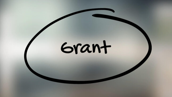 What Government Grants Actually Are
