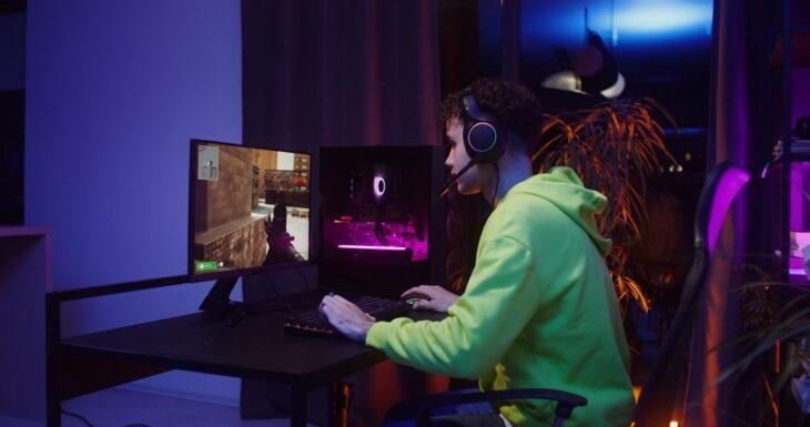 Loneliness and Social Substitution